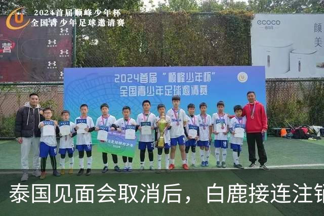 泰国见面会取消后，白鹿接连注销名下三家公司，网友：果然有猫腻